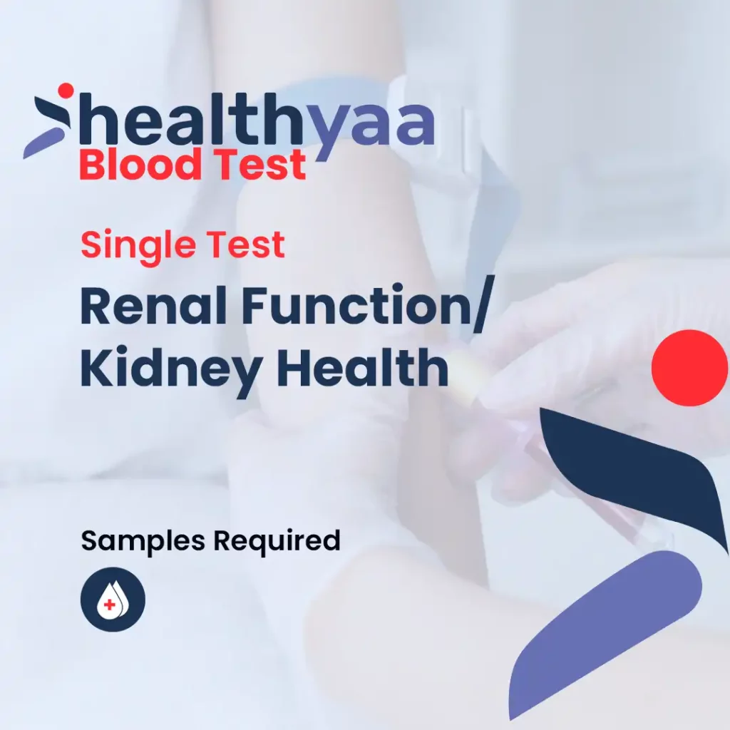 Renal Function Blood Tests