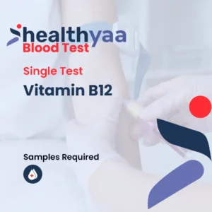 Vitamin B12 Test